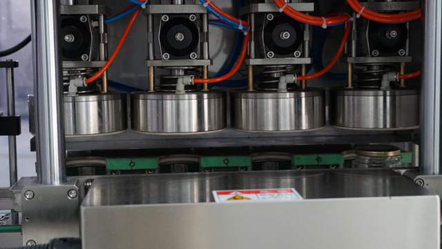 4 KOKË Kaper vakum.jpg