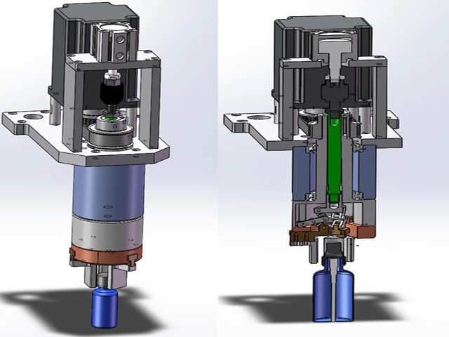 Koka të reja mbuluese.jpg